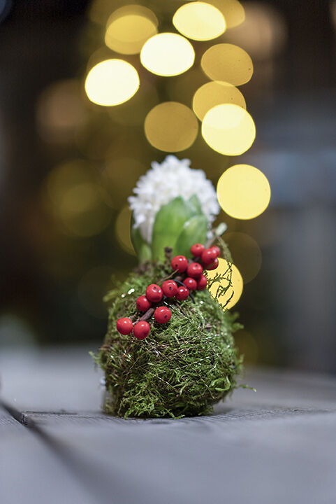 Svibel med mose - diy Svibel med mose - diy